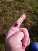 Dateiname=8_Anna_Die_Hummel_.jpg
Dateigröße=824KB
Abmessungen: 901x1200
hinzugefügt am: 03. November 2022 8_Anna_Die_Hummel_.jpg