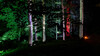 8_Marianne_Lichtfestival_Schloss_Dyck_Baeume_.jpg