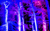 Dateiname=9_Verena_Lichtfestival_Schloss_Dyck_Bunte_Baeume.jpg
Dateigröße=353KB
Abmessungen: 1200x752
hinzugefügt am: 18. September 2021 9_Verena_Lichtfestival_Schloss_Dyck_Bunte_Baeume.jpg