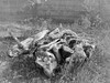 Dateiname=Das_war_mal_ein_Baum.jpeg
Dateigröße=1031KB
Abmessungen: 1200x900
hinzugefügt am: 06. Oktober 2024 Das_war_mal_ein_Baum.jpeg