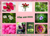 Dateiname=Deckblatt_2.jpg
Dateigröße=1039KB
Abmessungen: 1200x868
hinzugefügt am: 05. September 2021 Deckblatt_2.jpg
