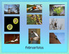 Dateiname=Deckblatt_Februar.jpg
Dateigröße=763KB
Abmessungen: 1200x943
hinzugefügt am: 02. März 2022 Deckblatt_Februar.jpg