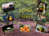 Dateiname=Deckblatt_Stillleben~0.jpg
Dateigröße=1198KB
Abmessungen: 1200x900
hinzugefügt am: 01. Oktober 2023 Deckblatt_Stillleben~0.jpg