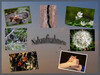 Dateiname=Deckblatt~3.jpg
Dateigröße=853KB
Abmessungen: 1200x900
hinzugefügt am: 03. Mai 2023 Deckblatt~3.jpg