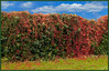 Dateiname=Elise-_Bunte_Laermschutzwand.jpg
Dateigröße=1348KB
Abmessungen: 1200x777
hinzugefügt am: 26. Oktober 2023 Elise-_Bunte_Laermschutzwand.jpg