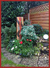 Dateiname=Elise_-Blumenpracht_-_und_das_Mitte_Oktober212121.jpg
Dateigröße=1419KB
Abmessungen: 878x1171
hinzugefügt am: 11. Oktober 2023 Elise_-Blumenpracht_-_und_das_Mitte_Oktober212121.jpg
