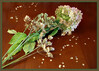 Dateiname=Elise_-_Alt_aber_schoen.jpg
Dateigröße=1099KB
Abmessungen: 1400x1005
hinzugefügt am: 29. September 2023 Elise_-_Alt_aber_schoen.jpg