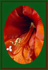 Dateiname=Elise_-_Amarelis_-.jpg
Dateigröße=1118KB
Abmessungen: 1099x1600
hinzugefügt am: 17. Januar 2023 Elise_-_Amarelis_-.jpg