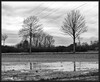 Dateiname=Elise_-_Nach_einem_Regenguss.jpg
Dateigröße=1183KB
Abmessungen: 1400x1149
hinzugefügt am: 06. März 2024 Elise_-_Nach_einem_Regenguss.jpg