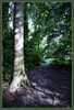 Dateiname=Elise_-_Waldweg_k-.jpg
Dateigröße=1234KB
Abmessungen: 816x1200
hinzugefügt am: 02. Juli 2024 Elise_-_Waldweg_k-.jpg