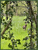 Dateiname=Elise_ICH_SEHE_DICH_-_K_-.jpg
Dateigröße=1110KB
Abmessungen: 909x1200
hinzugefügt am: 23. Juli 2024 Elise_ICH_SEHE_DICH_-_K_-.jpg