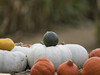 Dateiname=Farbenmix.jpg
Dateigröße=466KB
Abmessungen: 1200x900
hinzugefügt am: 16. Oktober 2021 Farbenmix.jpg