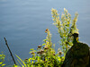 Dateiname=Gerd_Am_See.jpeg
Dateigröße=1620KB
Abmessungen: 1200x900
hinzugefügt am: 06. September 2023 Gerd_Am_See.jpeg