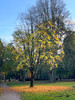 Dateiname=Gerd_Golderner_Oktober.jpeg
Dateigröße=2100KB
Abmessungen: 900x1200
hinzugefügt am: 27. Oktober 2024 Gerd_Golderner_Oktober.jpeg