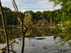 Dateiname=Gerd_Groovsches_Loch_Everglades_in_Neuss_.jpeg
Dateigröße=1550KB
Abmessungen: 1200x900
hinzugefügt am: 18. August 2024 Gerd_Groovsches_Loch_Everglades_in_Neuss_.jpeg