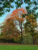 Dateiname=Gerd_Herbstfarben.jpeg
Dateigröße=2361KB
Abmessungen: 900x1200
hinzugefügt am: 27. Oktober 2024 Gerd_Herbstfarben.jpeg
