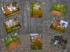 Dateiname=Gerd_Herbstimpressionen.jpg
Dateigröße=1573KB
Abmessungen: 1200x900
hinzugefügt am: 16. November 2023 Gerd_Herbstimpressionen.jpg