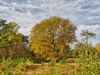 Dateiname=Gerd_Herbstlich.jpeg
Dateigröße=807KB
Abmessungen: 1200x900
hinzugefügt am: 28. Oktober 2022 Gerd_Herbstlich.jpeg
