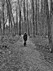 Dateiname=Gerd_Hund_mit_Frau.jpeg
Dateigröße=1101KB
Abmessungen: 900x1200
hinzugefügt am: 11. Februar 2024 Gerd_Hund_mit_Frau.jpeg