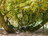 Dateiname=Gerd_Impression.jpg
Dateigröße=842KB
Abmessungen: 1200x900
hinzugefügt am: 13. August 2024 Gerd_Impression.jpg