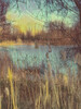 Dateiname=Gerd_Impressionimus.jpg
Dateigröße=1502KB
Abmessungen: 900x1200
hinzugefügt am: 27. April 2024 Gerd_Impressionimus.jpg