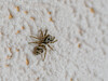 Dateiname=Gerd_Makro.jpg
Dateigröße=775KB
Abmessungen: 1200x900
hinzugefügt am: 12. April 2023 Gerd_Makro.jpg