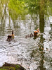 Dateiname=Gerd_Miniwildlive.jpeg
Dateigröße=2037KB
Abmessungen: 899x1200
hinzugefügt am: 04. April 2024 Gerd_Miniwildlive.jpeg