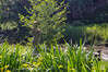 Dateiname=Gerd_Paparazzo.jpg
Dateigröße=1445KB
Abmessungen: 1200x800
hinzugefügt am: 19. Mai 2024 Gerd_Paparazzo.jpg
