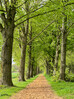 Dateiname=Gerd_Reitweg.jpeg
Dateigröße=2056KB
Abmessungen: 899x1200
hinzugefügt am: 08. April 2024 Gerd_Reitweg.jpeg