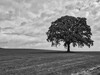 Dateiname=Gerd_Solitaer~0.jpg
Dateigröße=748KB
Abmessungen: 1200x900
hinzugefügt am: 01. Februar 2024 Gerd_Solitaer~0.jpg