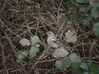 Dateiname=Gerd_Vorbote_P2051455.jpeg
Dateigröße=1276KB
Abmessungen: 1200x899
hinzugefügt am: 06. Februar 2022 Gerd_Vorbote_P2051455.jpeg