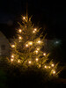Dateiname=Gerd_Weihnachtlich_geschmuecktes_Nadelgewaechs.jpg
Dateigröße=740KB
Abmessungen: 900x1200
hinzugefügt am: 20. Dezember 2021 Gerd_Weihnachtlich_geschmuecktes_Nadelgewaechs.jpg