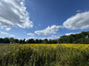 Dateiname=Gerd_Wildkraeuter.jpg
Dateigröße=676KB
Abmessungen: 1200x900
hinzugefügt am: 29. Juli 2024 Gerd_Wildkraeuter.jpg