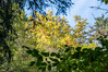 Dateiname=K-H_Hoepfner_Herbstblaetter.jpg
Dateigröße=482KB
Abmessungen: 1200x800
hinzugefügt am: 30. Oktober 2021 K-H_Hoepfner_Herbstblaetter.jpg