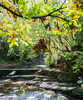 Dateiname=K-H_Hoepfner_Herbstwald.jpg
Dateigröße=400KB
Abmessungen: 833x1000
hinzugefügt am: 30. Oktober 2021 K-H_Hoepfner_Herbstwald.jpg