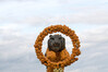 Dateiname=K-H_Hoepfner_Loeve_im_Kuerbiskranz.jpg
Dateigröße=97KB
Abmessungen: 1200x800
hinzugefügt am: 16. Oktober 2021 K-H_Hoepfner_Loeve_im_Kuerbiskranz.jpg