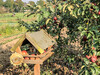 Dateiname=K-H_Hoepfner_Wetterhaeuschen.jpg
Dateigröße=454KB
Abmessungen: 1200x900
hinzugefügt am: 16. Oktober 2021 K-H_Hoepfner_Wetterhaeuschen.jpg