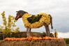 Dateiname=Kuerbisschau_Pferd_.jpg
Dateigröße=936KB
Abmessungen: 1200x800
hinzugefügt am: 16. Oktober 2021 Kuerbisschau_Pferd_.jpg