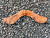 Dateiname=Manni_Engelsfluegel.jpg
Dateigröße=1283KB
Abmessungen: 1200x900
hinzugefügt am: 30. September 2023 Manni_Engelsfluegel.jpg