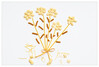 Dateiname=Marianne_Lebensmittel_auch_Gerichte_Nudeln_02.jpg
Dateigröße=365KB
Abmessungen: 1200x815
hinzugefügt am: 03. Januar 2024 Marianne_Lebensmittel_auch_Gerichte_Nudeln_02.jpg