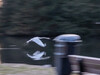 Dateiname=P2274662_b-1.jpg
Dateigröße=807KB
Abmessungen: 1200x900
hinzugefügt am: 27. Februar 2021 P2274662_b-1.jpg