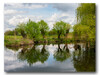 Dateiname=P5065602_b-1.jpg
Dateigröße=792KB
Abmessungen: 1200x900
hinzugefügt am: 06. Mai 2021 P5065602_b-1.jpg