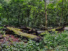 Dateiname=P9137152.jpeg
Dateigröße=2446KB
Abmessungen: 1200x900
hinzugefügt am: 14. September 2023 P9137152.jpeg