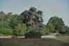 Dateiname=Roland_Borkenberge.jpg
Dateigröße=899KB
Abmessungen: 1200x800
hinzugefügt am: 13. Oktober 2023 Roland_Borkenberge.jpg