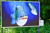 Dateiname=Roland_Freiluft_Fotoausstellung.jpg
Dateigröße=1055KB
Abmessungen: 1200x800
hinzugefügt am: 16. Mai 2024 Roland_Freiluft_Fotoausstellung.jpg