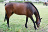 Dateiname=Roland_Hafermotor.JPG
Dateigröße=1036KB
Abmessungen: 1200x801
hinzugefügt am: 23. Juli 2023 Roland_Hafermotor.JPG