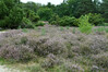 Dateiname=Roland_Heide_.JPG
Dateigröße=1277KB
Abmessungen: 1200x800
hinzugefügt am: 11. September 2023 Roland_Heide_.JPG