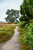 Dateiname=Roland_Heideweg.jpg
Dateigröße=1190KB
Abmessungen: 800x1200
hinzugefügt am: 23. Juli 2024 Roland_Heideweg.jpg