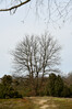 Dateiname=Roland_In_der_Heide.JPG
Dateigröße=882KB
Abmessungen: 800x1200
hinzugefügt am: 31. März 2023 Roland_In_der_Heide.JPG