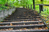 Dateiname=Roland_Treppe_Im_Park.jpg
Dateigröße=1284KB
Abmessungen: 1200x800
hinzugefügt am: 01. November 2024 Roland_Treppe_Im_Park.jpg